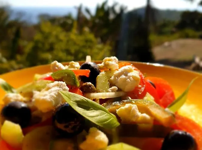 Bed & Breakfast Palmetto Playa San Miguel