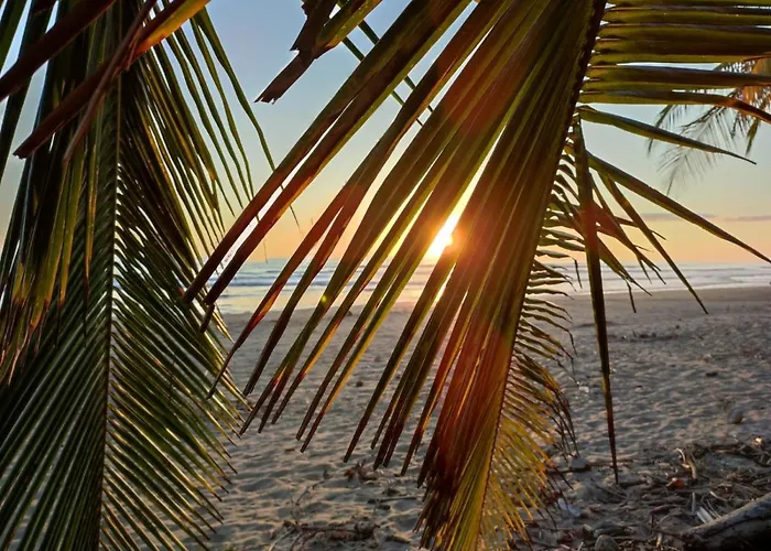 Palmetto Playa San Miguel