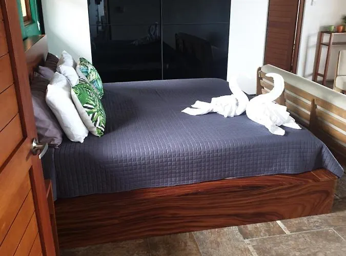 Bed & Breakfast Palmetto Playa San Miguel