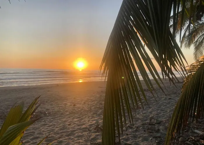 Palmetto 4* Playa San Miguel