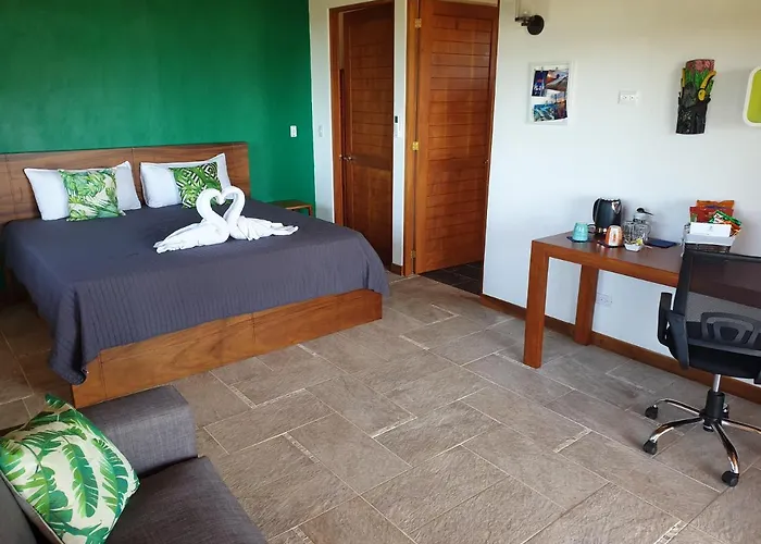 Acomodação com café da manhã  Palmetto Playa San Miguel